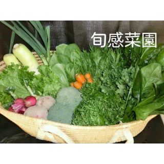 新鮮野菜セット100-②(野菜)