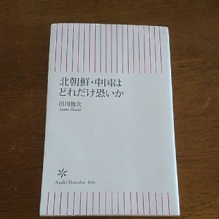 北朝鮮・中国はどれだけ恐いか(文学/小説)