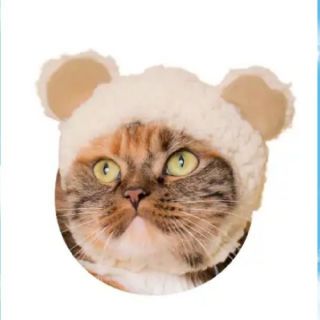 猫の帽子　かわいいねこくまちゃん　ベージュ　新品(猫)