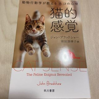 猫的感覚 動物行動学が教えるネコの心理(文学/小説)