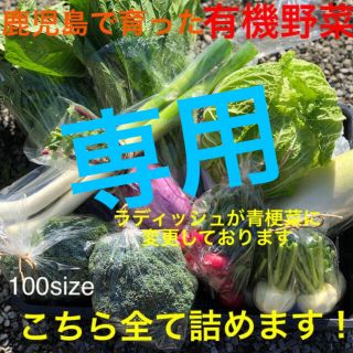 鹿児島で育った有機野菜詰め合わせ　100サイズ(野菜)