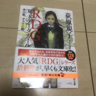 レッドデータガール　氷の靴ガラスの靴(文学/小説)