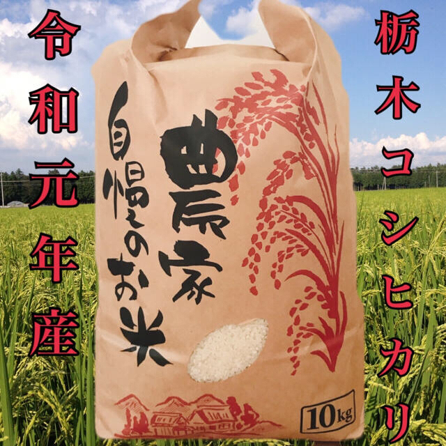 令和元年栃木県産新米コシヒカリ20キロ　米/穀物
