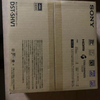 ソニー(SONY)のro pa様専用DSTSHV1(その他)