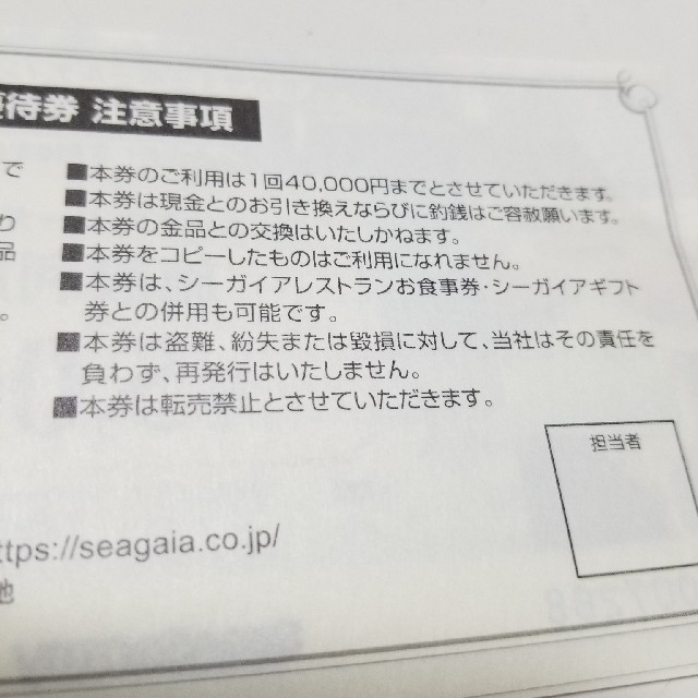 SEGA(セガ)のセガサミー　株主優待券　2枚セット チケットの優待券/割引券(その他)の商品写真