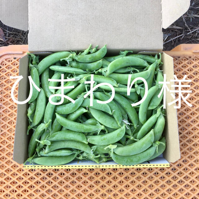 鹿児島産甘スナップエンドウ箱込み1キロ^_^ 食品/飲料/酒の食品(野菜)の商品写真