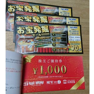 12000円分 ヴィレッジヴァンガード 株主優待(ショッピング)