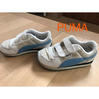 プーマ(PUMA)のPUMA スニーカー 15㎝ 16㎝(スニーカー)