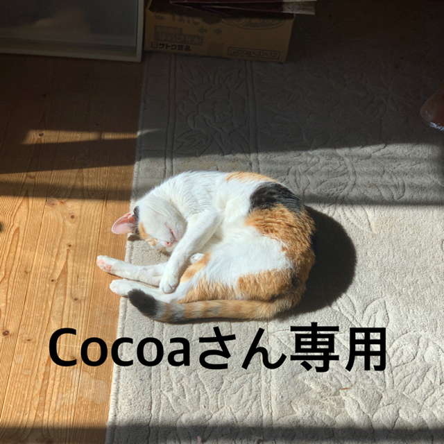 COSME DECORTE(コスメデコルテ)のコスメデコルテ アイクレヨン GD020 定価2700円＋税 コスメ/美容のベースメイク/化粧品(アイライナー)の商品写真