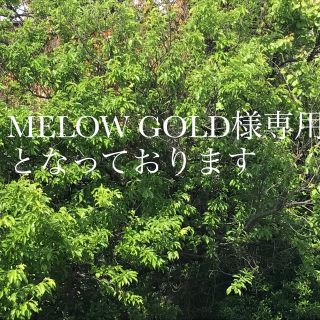 MELOW GOLD様専用となっております(バスケット/かご)