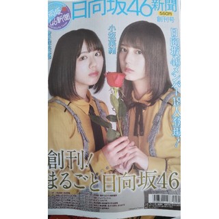 日向坂46新聞　応募券無し　未読(アイドルグッズ)