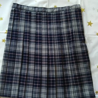 セシール(cecile)のプリーツスカート 卒業式 入学式(ひざ丈スカート)