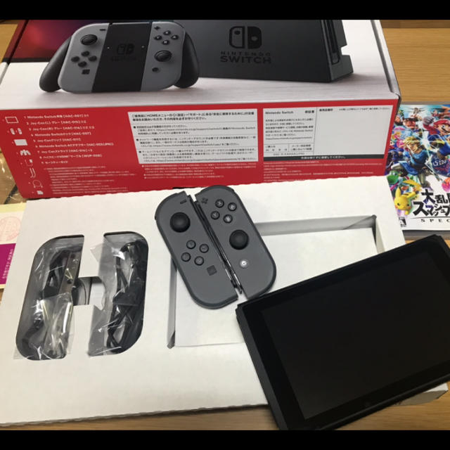 Nintendo Switch JOY-CON 本体  HAC-S-KA