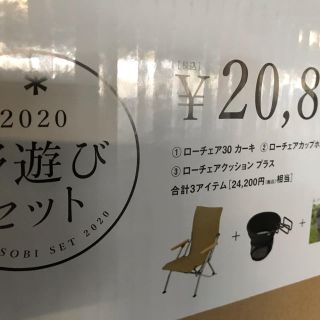 2020 野遊びセット スノーピーク ローチェア セット