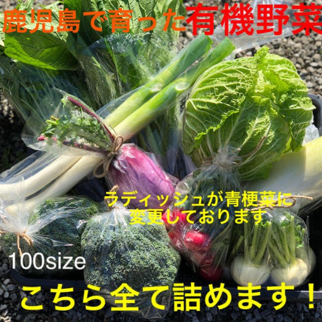 鹿児島で育った有機野菜詰め合わせ　100サイズ 食品/飲料/酒の食品(野菜)の商品写真