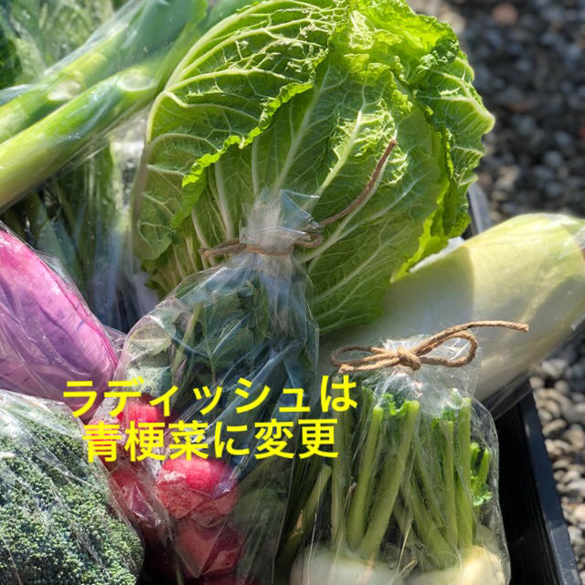 鹿児島で育った有機野菜詰め合わせ　100サイズ 食品/飲料/酒の食品(野菜)の商品写真