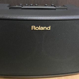 ローランド(Roland)のRoland AC-40(ギターアンプ)