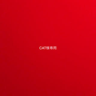 CAT様専用(その他)