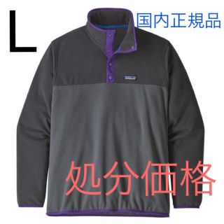 パタゴニア(patagonia)の最新2019 パタゴニア マイクロD スナップT プルオーバー Lサイズ 新品(その他)