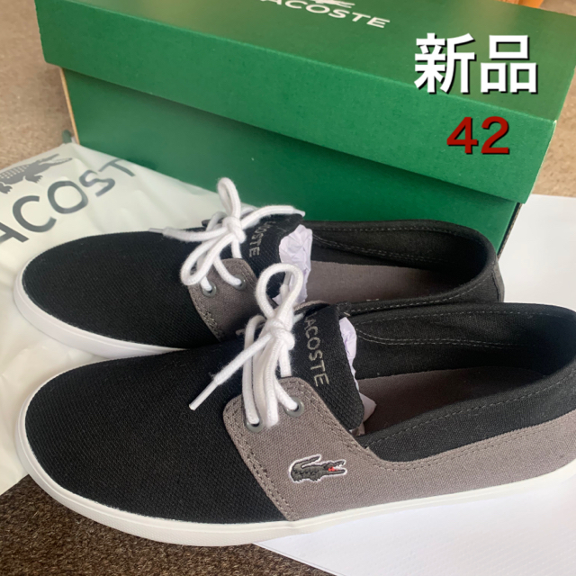 LACOSTE(ラコステ)の新品未使用 メンズ キャンバススニーカー メンズの靴/シューズ(スニーカー)の商品写真