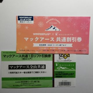 マックアース共通 １日リフト引換券(全エリア) 高鷲 ダイナなど(スキー場)