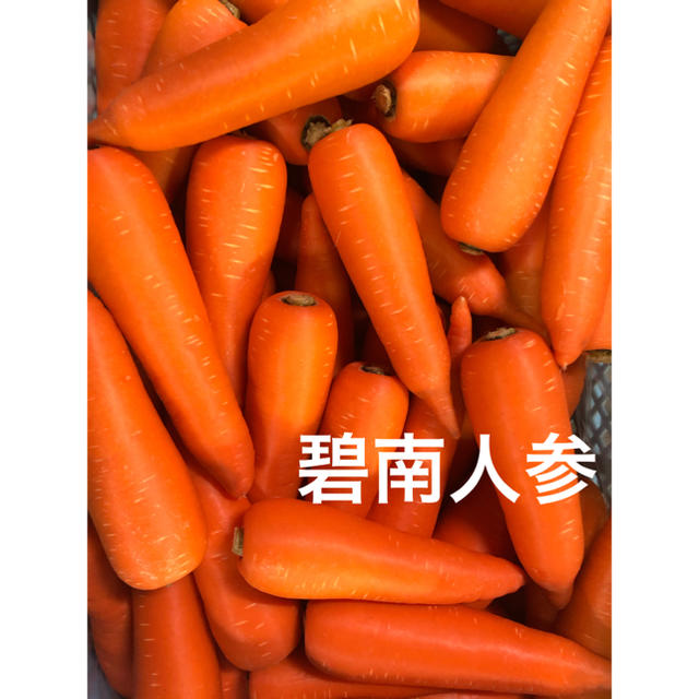 愛知県産 にんじん 10kg 大好評！ 食品/飲料/酒の食品(野菜)の商品写真