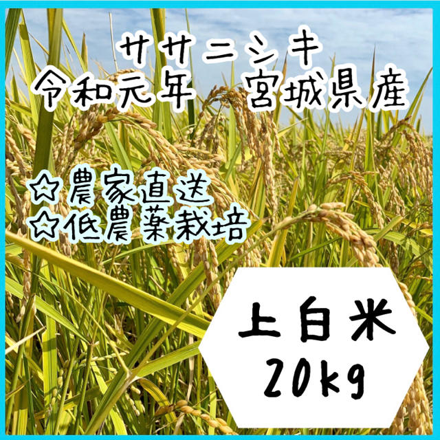 食品【農家直送】宮城県産ササニシキ　上白米20kg【送料無料】