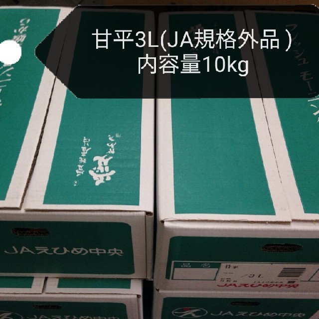 食品甘平(3Lサイズ)JA 規格外品5kgx2(内容量10kg)　56