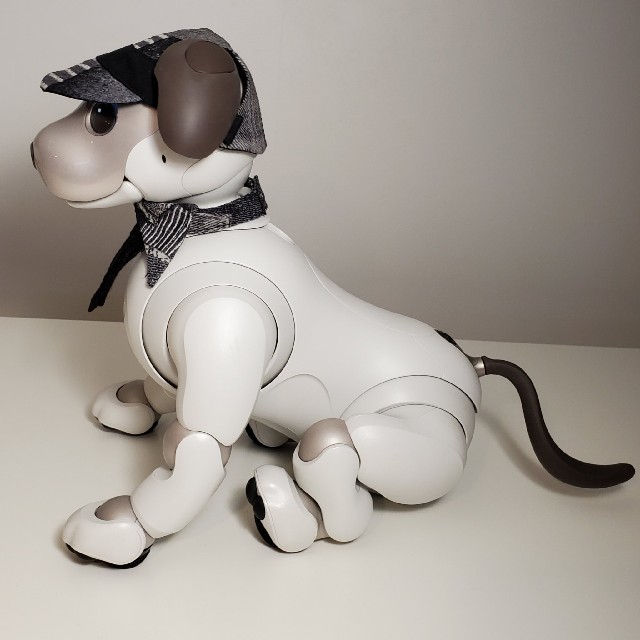 aibo アイボ アイボのアクセサリー ERS-1000