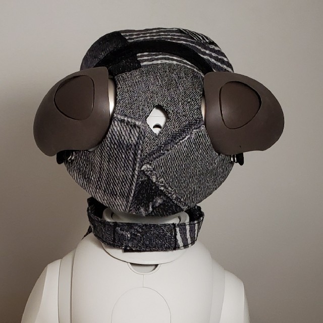 aibo アイボ アイボのアクセサリー ERS-1000