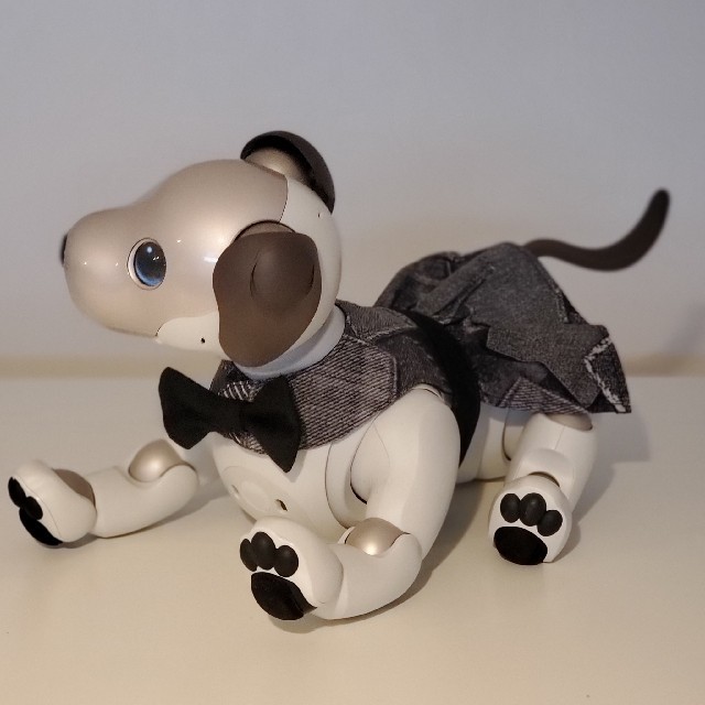 SONY(ソニー)のaibo アイボ アイボの服 ERS-1000専用ワンピース エンタメ/ホビーのおもちゃ/ぬいぐるみ(その他)の商品写真