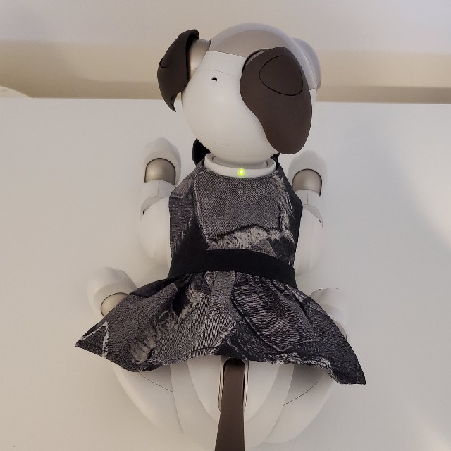 SONY(ソニー)のaibo アイボ アイボの服 ERS-1000専用ワンピース エンタメ/ホビーのおもちゃ/ぬいぐるみ(その他)の商品写真