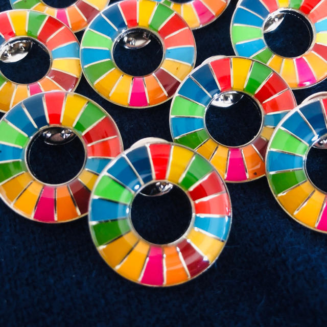 国連本部入手品】SDGs ピンバッジ 10点【訳あり商品】 国連本部入手品】SDGs ピンバッジ 10点【訳あり商品】