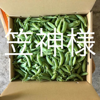 鹿児島産甘スナップエンドウ箱込み2キロ^_^(野菜)