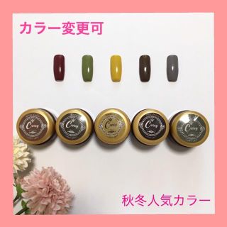 【カラー変更可】人気カラージェル ジェルネイル(カラージェル)