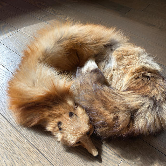 FOXEY(フォクシー)のキツネ　フォックス　えりまき🦊 レディースのジャケット/アウター(毛皮/ファーコート)の商品写真