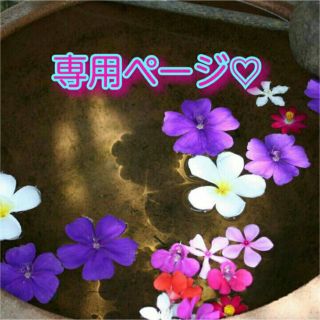 はるる様♡専用ページ(その他)