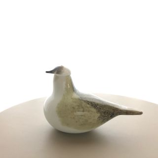 イッタラ(iittala)の*専用* Wagtail 別注 バード Oiva Toikka 箱有(置物)