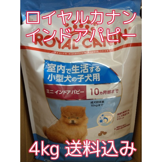 ロイヤルカナン　インドアパピー　4kg