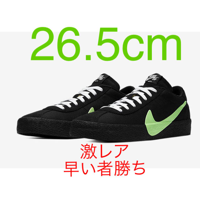 26.5cm NIKE SB ZOOM BRUIN × POETS