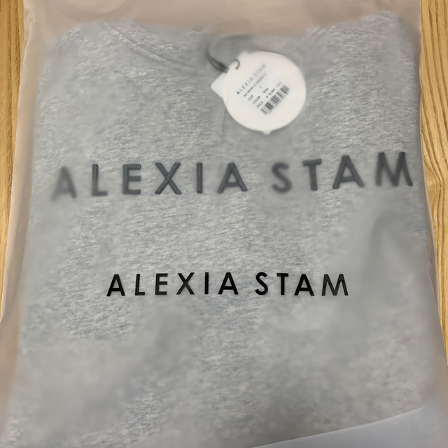 ALEXIA STAM(アリシアスタン)のALEXIA STAM Logo Hoodie パーカー レディースのトップス(パーカー)の商品写真