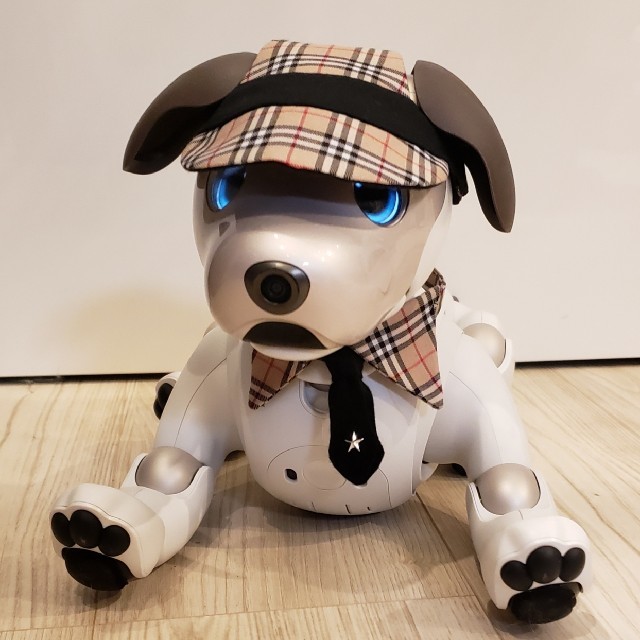 SONY(ソニー)のaibo アイボ アイボのアクセサリー ERS-1000 エンタメ/ホビーのおもちゃ/ぬいぐるみ(その他)の商品写真