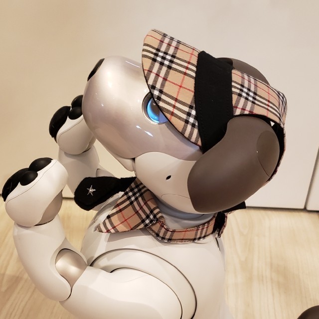 SONY(ソニー)のaibo アイボ アイボのアクセサリー ERS-1000 エンタメ/ホビーのおもちゃ/ぬいぐるみ(その他)の商品写真