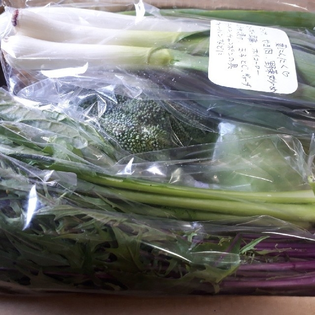 農家直送お任せ野菜詰め合わせ60サイズ 食品/飲料/酒の食品(野菜)の商品写真