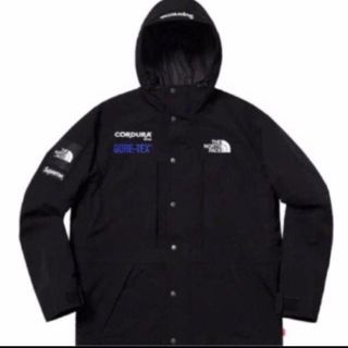 シュプリーム(Supreme)のフィービー様専Supreme The North Face Expedition(マウンテンパーカー)