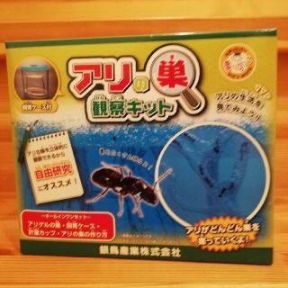 アリの巣　簡単キット(その他)