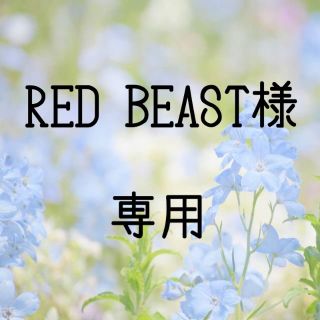 RED BEAST様専用　お米　令和元年　愛媛県産キヌヒカリ　玄米　30㎏(米/穀物)