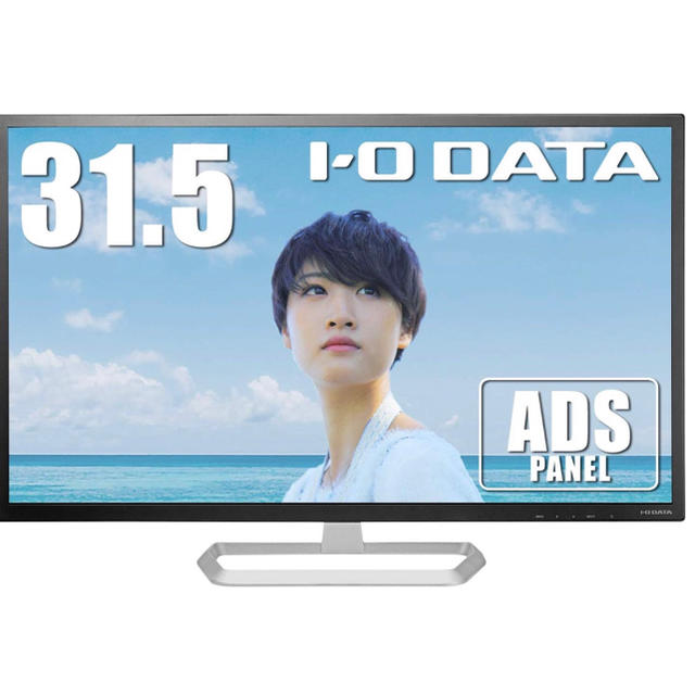 I-O DATA モニター 31.5インチ HDMI×1 DP×1 ADS非光沢