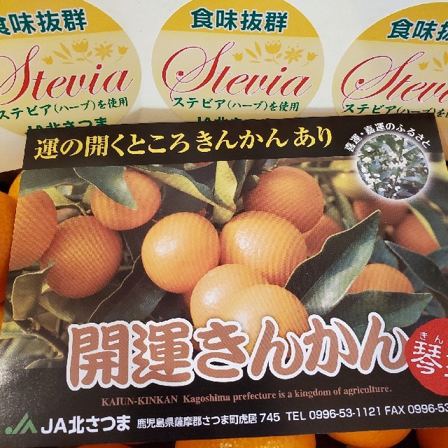 鹿児島県産「あまーーーーいきんかん」2Lサイズ　1kg入り 食品/飲料/酒の食品(フルーツ)の商品写真