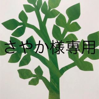 【さやか様専用】(その他)